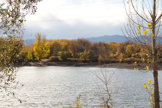 Golden Ponds, the western terminus of the St. Vrain Greenway Trail. 